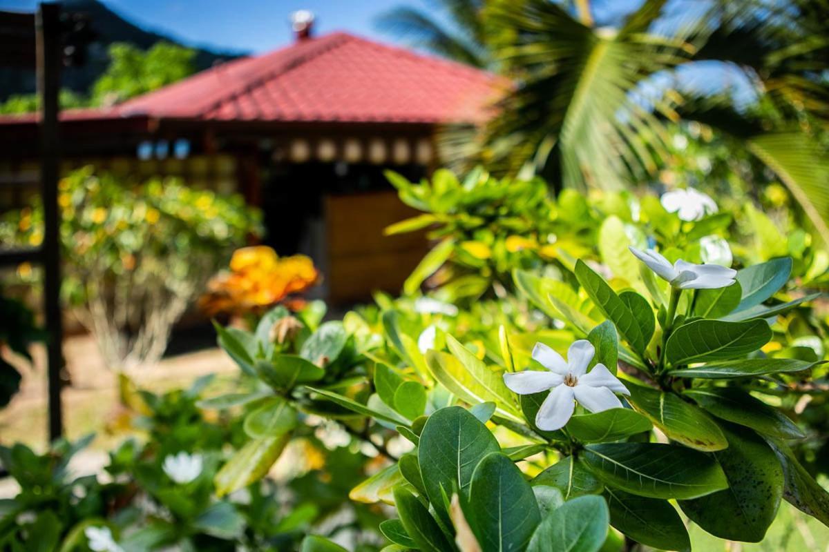 Raiatea Sur Mer Opoa 외부 사진