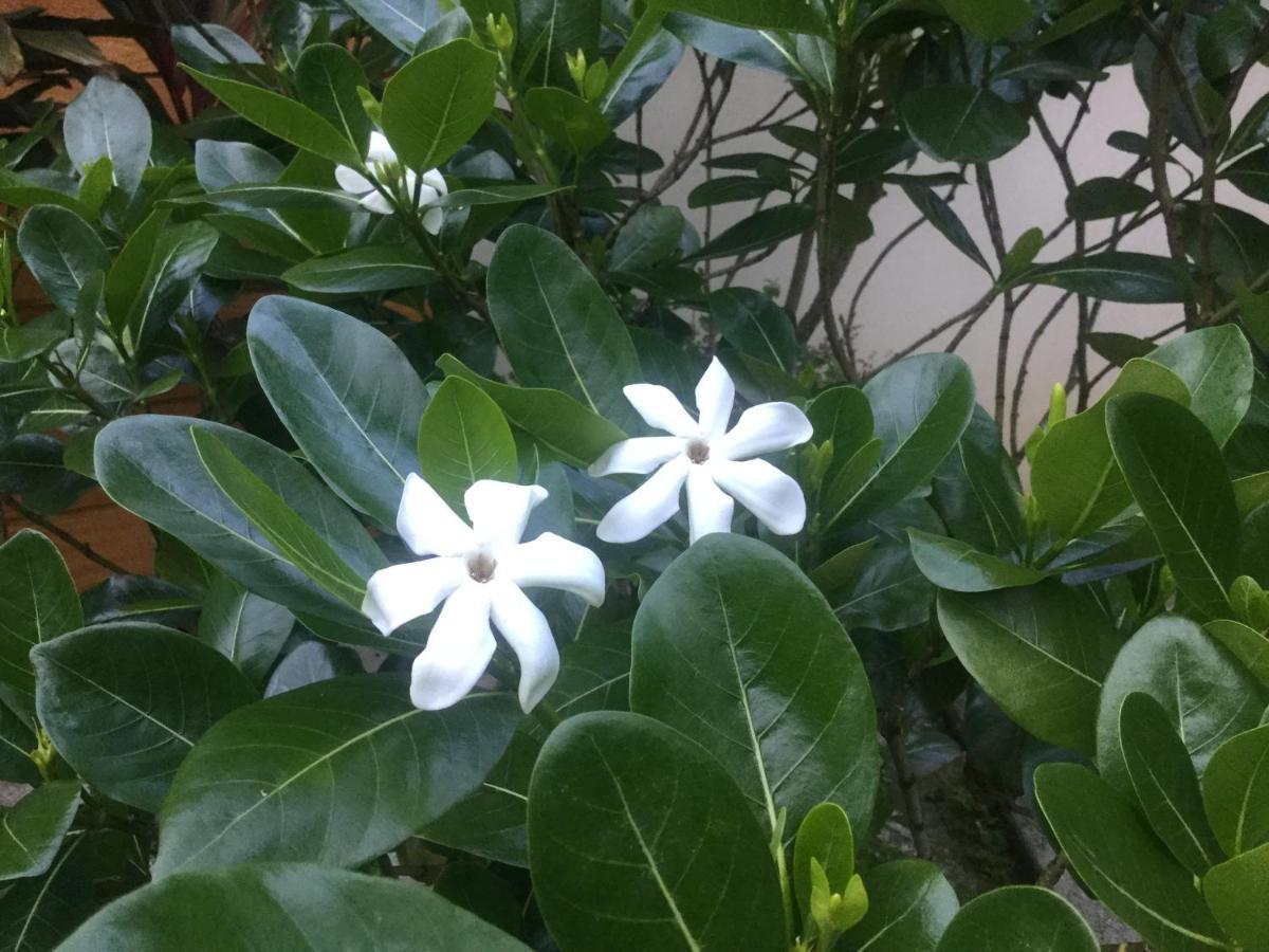 Raiatea Sur Mer Opoa 외부 사진